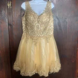 ELIZABETH K; Short, Gold Party/Dama Dress (XL)